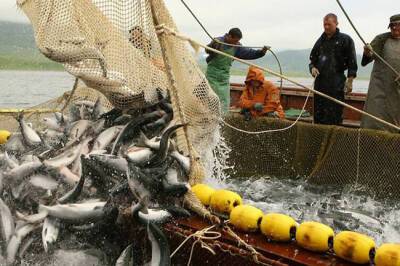 Григорий Мартынов: Ожидать снижения цен на рыбу в ближайшее время точно не стоит