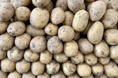 Специалист рассказала, почему нельзя дышать над картошкой при омикрон-штамме