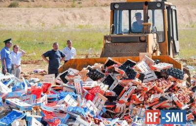 В Госдуме предложили запретить уничтожение конфискованных продуктов