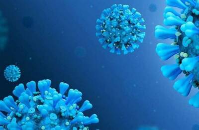 Как заработать «супериммунитет» к коронавирусу, узнали ученые