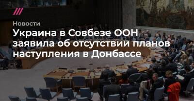 Украина в Совбезе ООН заявила об отсутствии планов наступления в Донбассе