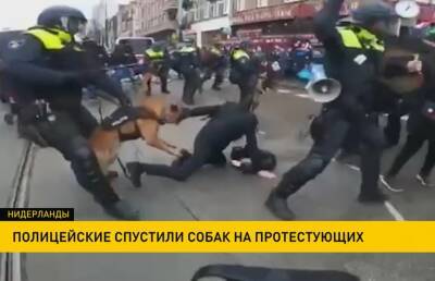 В Амстердаме на протестующих спустили собак - grodnonews.by - Белоруссия - Франция - Амстердам - Амстердам - Протесты
