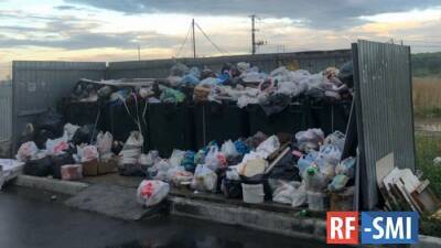 В Петербурге возбудили 19 административных дел по факту несвоевременного вывоза мусора