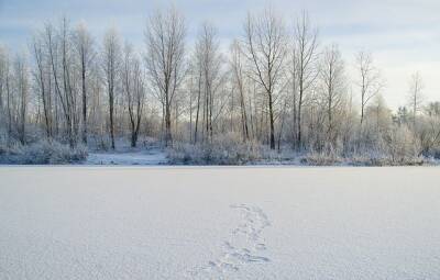 Федул Зимний 5 января: традиции, приметы и что нельзя делать в этот день