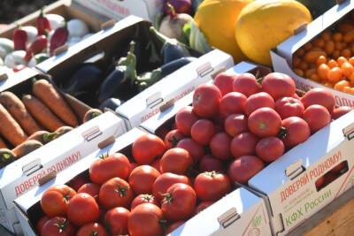 Диетолог Аплетаева рассказала об опасности овощных и фруктовых смузи