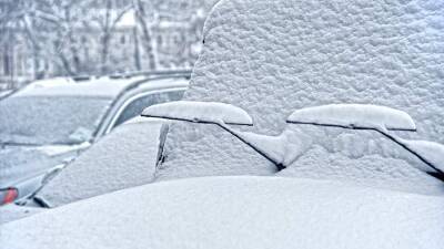 Вильфанд спрогнозировал снегопады в центральных регионах России