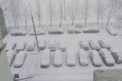 Росгидромет предупредил о мощных снегопадах в европейской части России