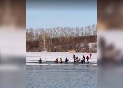 Люди в Алтайском плане провалились под лед, пытаясь без очереди посмотреть на лебедей