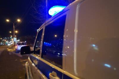 Инспекторы ДПС помогли водителю выбраться из кювета в Красноярском крае