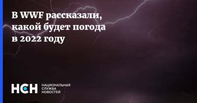 Алексей Кокорин - В WWF рассказали, какой будет погода в 2022 году - nsn.fm - Россия