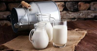 Во Франции изучили показатели крупнейших «молочных» стран