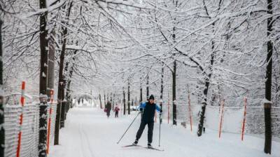 Более 50 бесплатных лыжных трасс оборудовали в парках Москвы