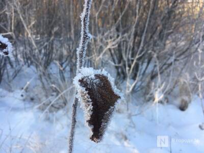 Морозы до — 21 °С ожидаются в Нижнем Новгороде на этой неделе