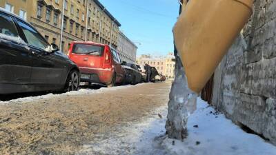 Синоптик Леус предупредил петербуржцев о надвигающихся морозах под Рождество