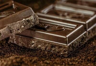 Учёные: Чёрный шоколад оздоровит кишечник и поднимет настроение