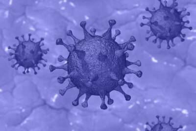 Новый штамм коронавируса обнаружили во Франции