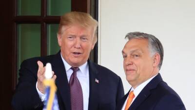 Трамп поддержал Орбана на выборах в Венгрии