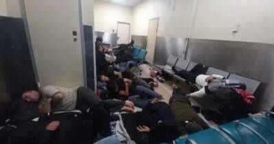 Посольство РТ: большинство "застрявших" в аэропорту Домодедово трудовых мигрантов вылетели на родину