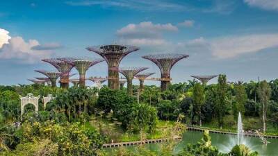 9 самых больших и красивых ботанических садов в мире