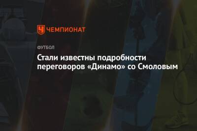 Стали известны подробности переговоров «Динамо» со Смоловым