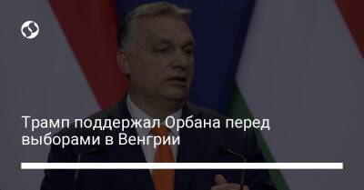 Трамп поддержал Орбана перед выборами в Венгрии