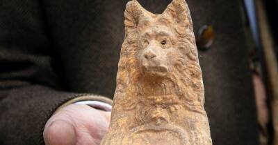 Размером с ладонь. В Риме обнаружили терракотовую статую в виде собачьей головы (фото)