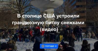 В столице США устроили грандиозную битву снежками (видео)