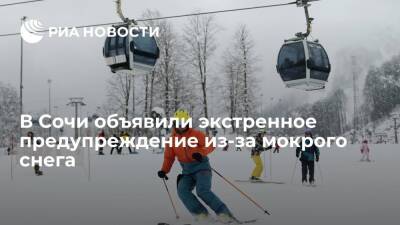 Экстренное предупреждение объявлено в Сочи из-за сильного налипания мокрого снега