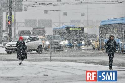 Москвичам пообещали "штормовое ненастье" на следующей неделе