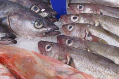 Диетолог Гинзбург назвал полезные свойства солёной рыбы