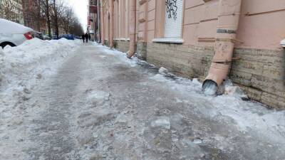 Мокрый снег и гололедица ожидаются в Петербурге 5 января