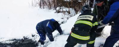 На озере в Электрогорске спасли провалившегося под лед рыбака