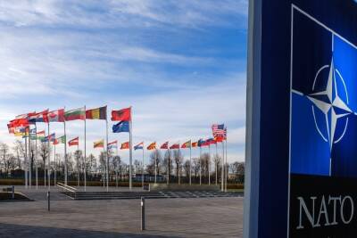 НАТО проведет саммит из-за ситуации на Украине до встречи с Россией