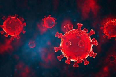 Число заболеваний коронавирусом в Мурманской области составило 90 за сутки