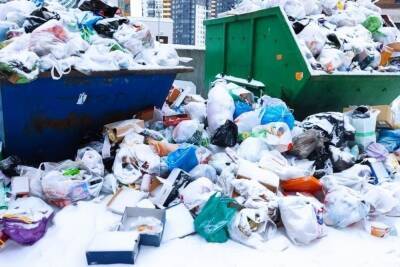 Региональный оператор назвал причину проблем с вывозом мусора