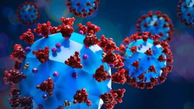 Во Франции обнаружили новый вариант коронавируса: что о нем известно, и насколько он опасен