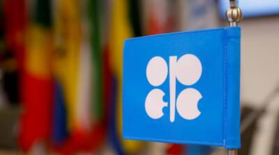 Итоги встречи ОПЕК+: представители 23 стран решили увеличить добычу нефти