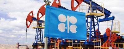 Страны ОПЕК+ решили повысить добычу нефти на 400 тысяч баррелей в сутки в феврале
