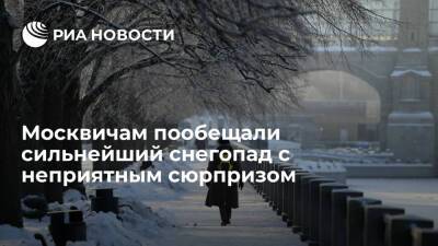 Синоптик Тишковец: циклон "Аннет" принесет в Москву сильнейший снегопад