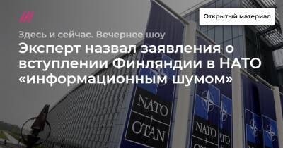 Эксперт назвал заявления о вступлении Финляндии в НАТО «информационным шумом»