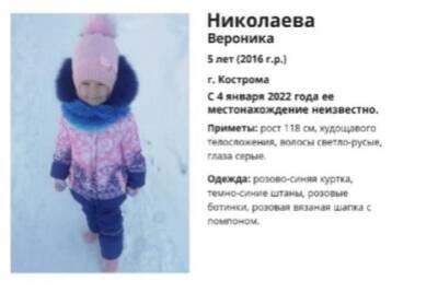 В Костроме задержаны подозреваемые в убийстве 5-летнего ребёнка