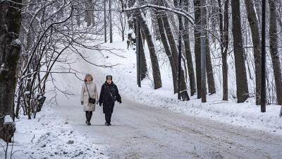 Вильфанд предупредил москвичей о резком похолодании 8 января
