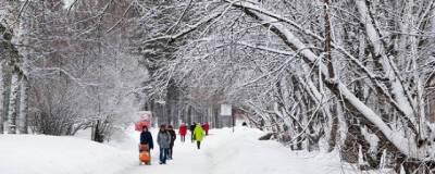 В Рождество новосибирцам обещают 16-градусные морозы
