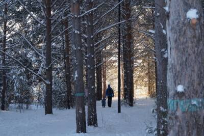 Красноярск ожидают сильный ветер и похолодание до -5 градусов 5 января
