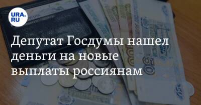 Депутат Госдумы нашел деньги на новые выплаты россиянам