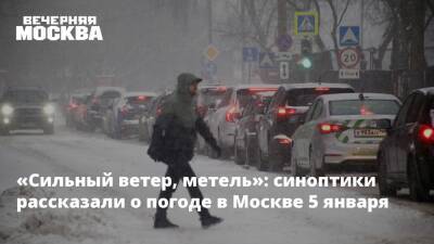 «Сильный ветер, метель»: синоптики рассказали о погоде в Москве 5 января