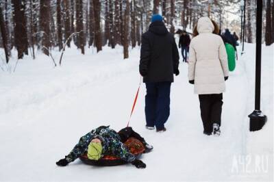 В Кузбассе потеплело до +6: синоптики зафиксировали плюсовые температуры в январе