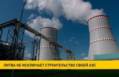 Президент Литвы заявил о возможности постройки новой АЭС