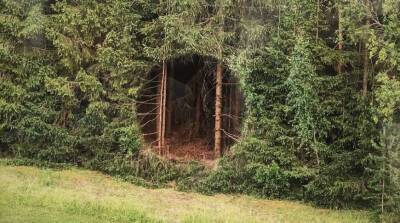 Турист нашел в Эстонии странную дыру в лесу, которая больше похожа на портал в другой мир (Фото)