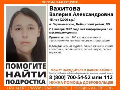 В Выборгском районе без вести пропала 15-летняя девушка
